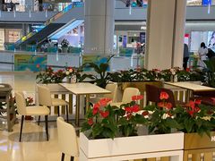 大堂-哈根达斯(皇城恒隆广场店)