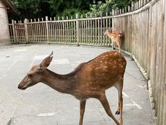 -金沙遗址博物馆