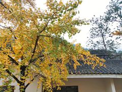 -江门古兜温泉小镇