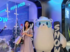 -Hopo Snow 城市滑雪空间(来福士广场购物中心店)