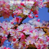 🌸京城赏花攻略|北土城地铁口，让你免费拥抱海棠花海🌷