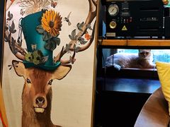 -咖法森林·咖啡  酒吧(天河店)