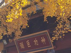 -上海青龙寺
