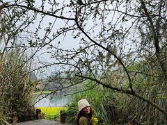 -桤木河湿地公园