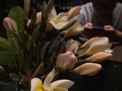 安纳塔拉度假酒店-西双版纳安纳塔拉度假酒店