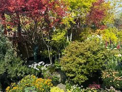 -龙大花卉苗木市场