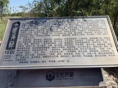 -玉龙沙湖景区