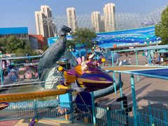 -海合安武汉极地海洋公园
