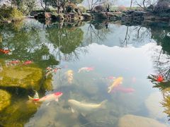 -中国茶叶博物馆(双峰馆区)