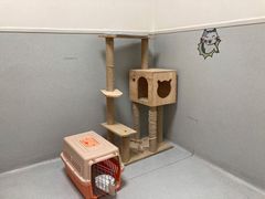 -谐和益家动物医院·免疫绝育·血液透析·宠保定点医院(高新伊藤分院)