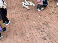 -王府井奥莱临潼小镇(临潼店)