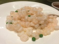 清炒河虾仁-上海会馆(香港名都店)
