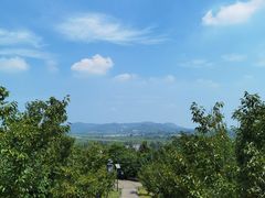 -六合国家地质公园桂子山景区
