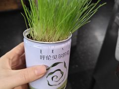 -很久以前羊肉串(昌里路三钢里店)