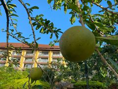 -宴悦海鲜餐厅·游水海鲜·牛排(亚龙湾瑞吉店)