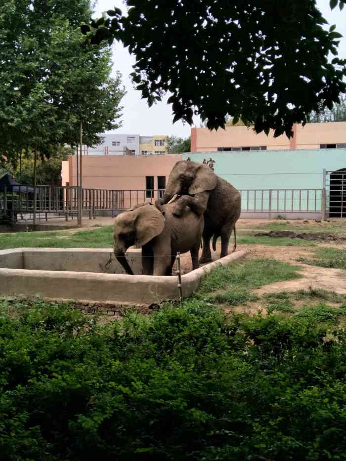 王城动物园-"上次去的时候刚下过雪,雪后的景色特别的漂.