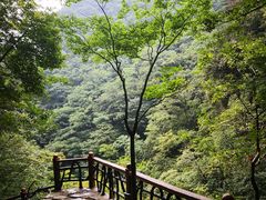 -浙北大峡谷