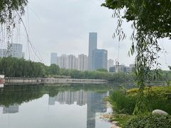 -后襄河公园