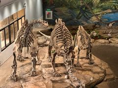 -自贡恐龙博物馆