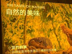 -巴奴毛肚火锅(广益哥伦布店)