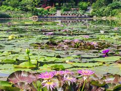 -云溪植物园
