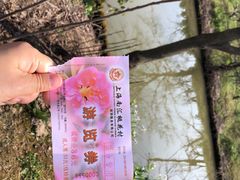 -南汇桃花村