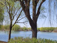 -石家庄市植物园