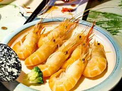 -黑松白鹿(金融街店)