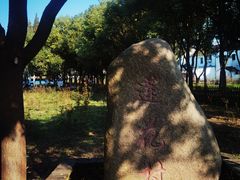 -莲花岛景区