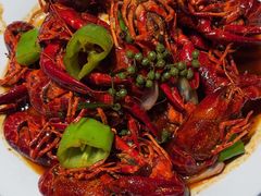 -杨氏青龙虾·羊蝎子(金盛路总店)