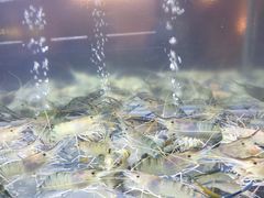 -白仁仔· 活烤海鲜 宵夜(豫园店)