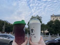 -雾与山茶(大禹城店)