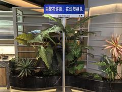 -湊湊火锅·茶憩(皇姑万象汇店)