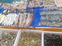 -鑫朱雀农贸批发市场