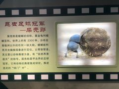 -上海昆虫博物馆