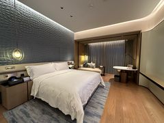 -深圳国际会展中心希尔顿酒店(前海华发冰雪世界店)