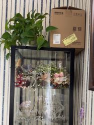 -爱儿美儿童摄影(五路居花园别墅店)