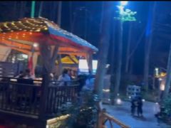 -二荆条·蜀鲜汇城市森林火锅