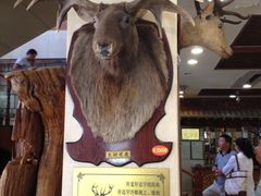 -乔家满族八大碗(流水沟店)