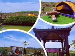 -樂桃源奉贤黄桃种植采摘基地