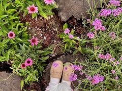 -汉长安城未央宫国家考古遗址公园