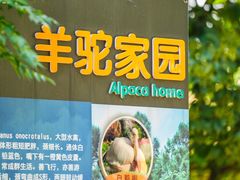 -常州淹城野生动物世界