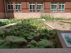 -北京市海淀外国语实验学校