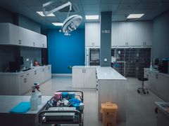 -福州肆爪动物医院