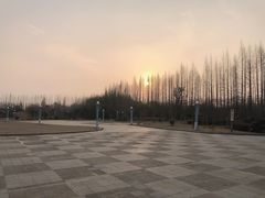-金岛生态园烧烤露营地