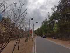 -帽儿山国家森林公园