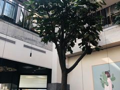 -大树餐厅(红旗街万达店)