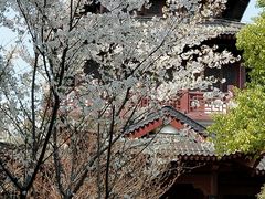 -堤角公园