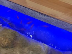 -九田家黑牛烤肉料理(晋阳街店)