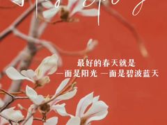 -东华门大街小区